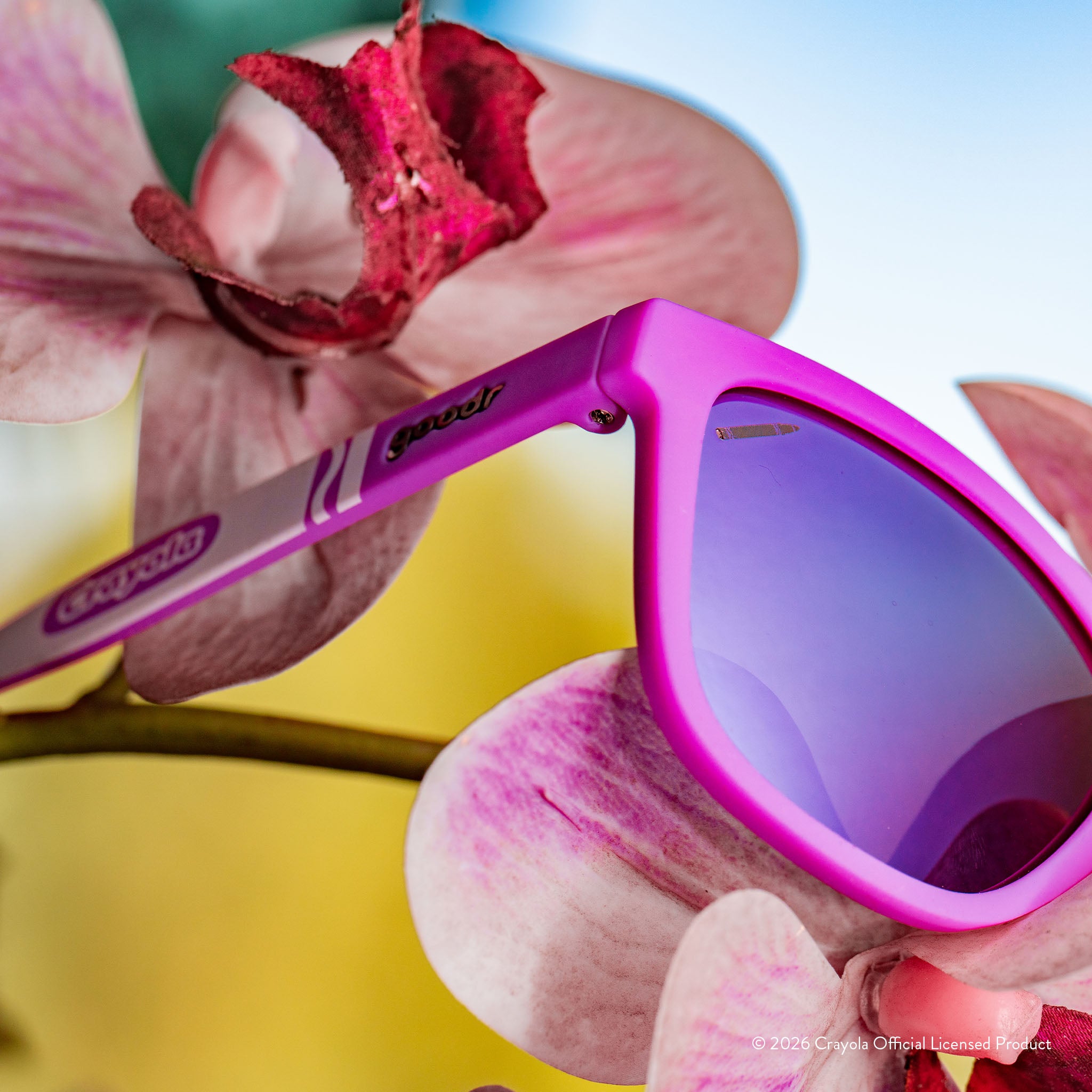 Wild Orchid - Image 5