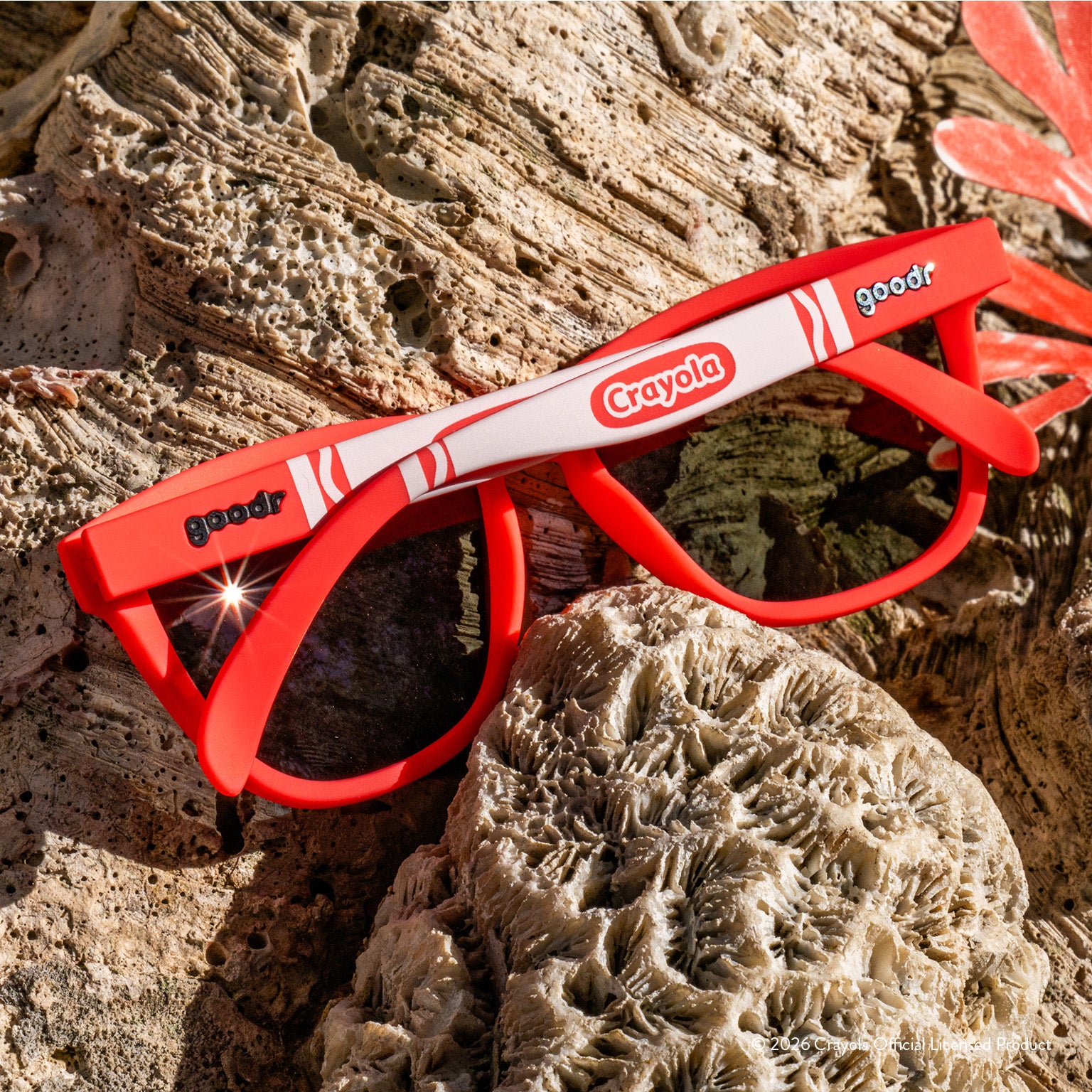 Coral Reef - Image 5