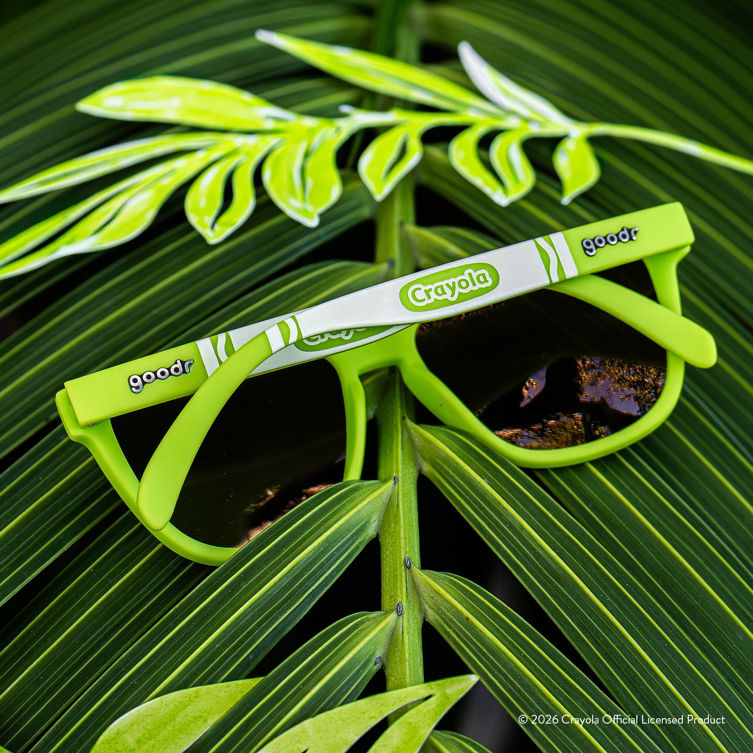 Palm Leaf - Image 5